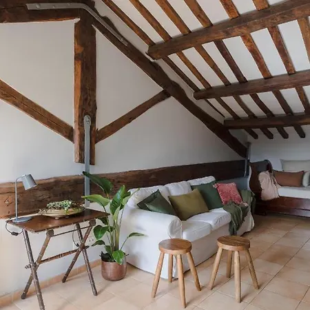 公寓 Amazing Penthouse With Terrace And Rooftop In Trastevere *